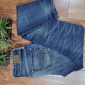 Denim & Supply Ralph Lauren Women's Blue Skinny Jeans